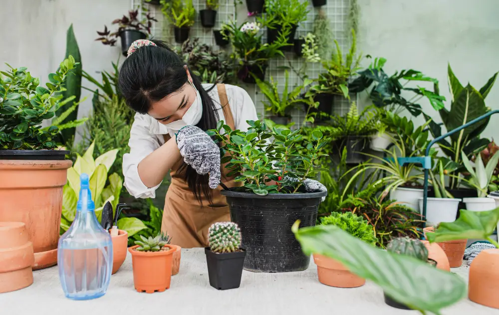 Woman digging into a pot preparing the plant for a vertical garden