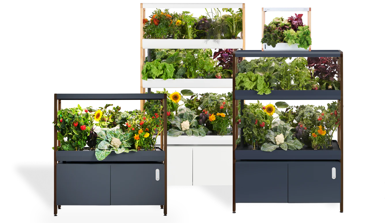 Discover the 5 Best Smart Gardens for Your Home in 2023