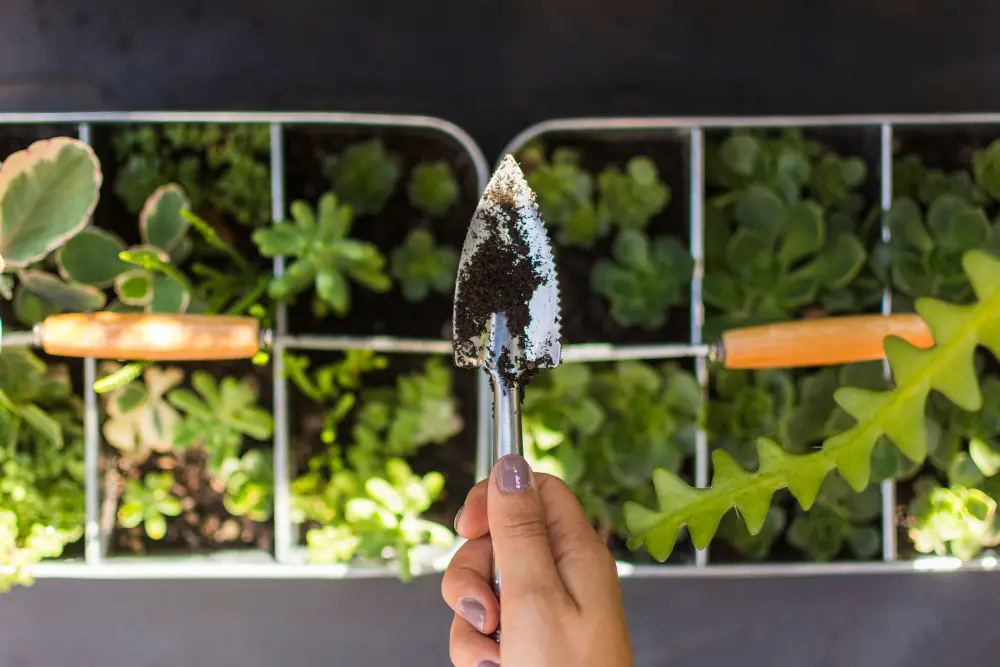 Top view of plants in different planters with a person holding a gardening tool above