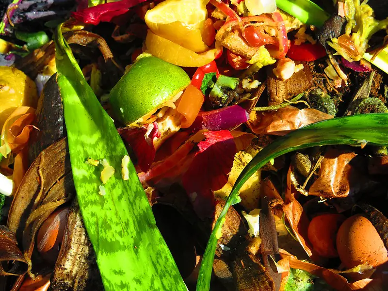 Composting Pile - Composting for Beginners