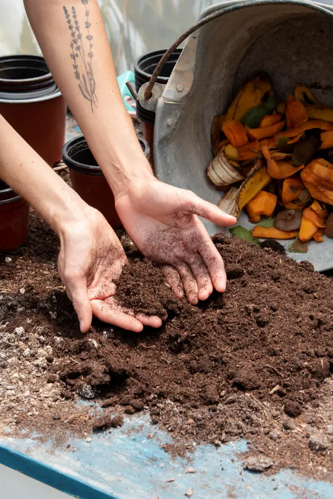 A person holding compost and a bucket of food craps
