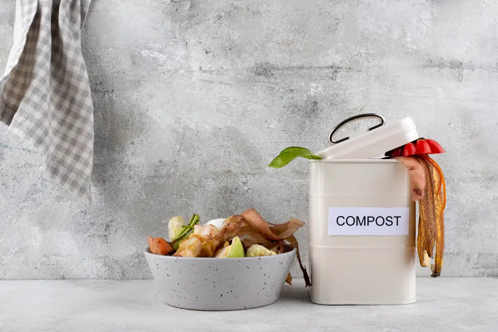 Vermicomposting - food scraps on a kitchen countertop